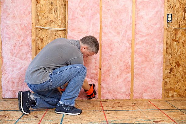 Best Insulation Installation Services in Jefferson, GA